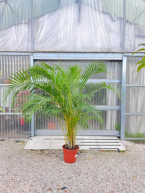 6b2dab1b-c59e-46fc-ba63-008240158511 (1)