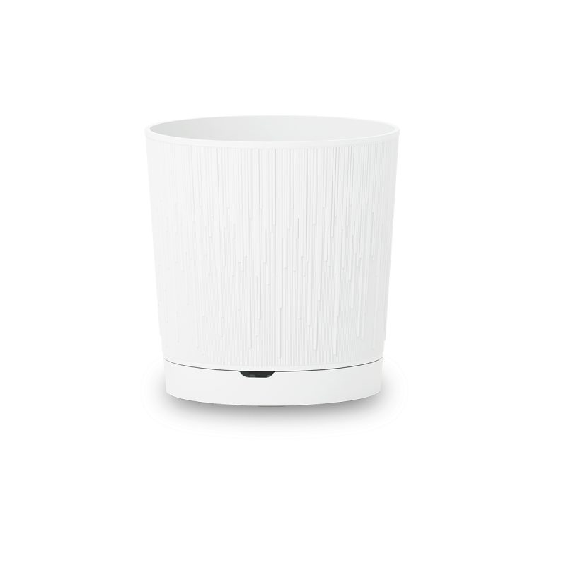 BAMBOO-BCO-1