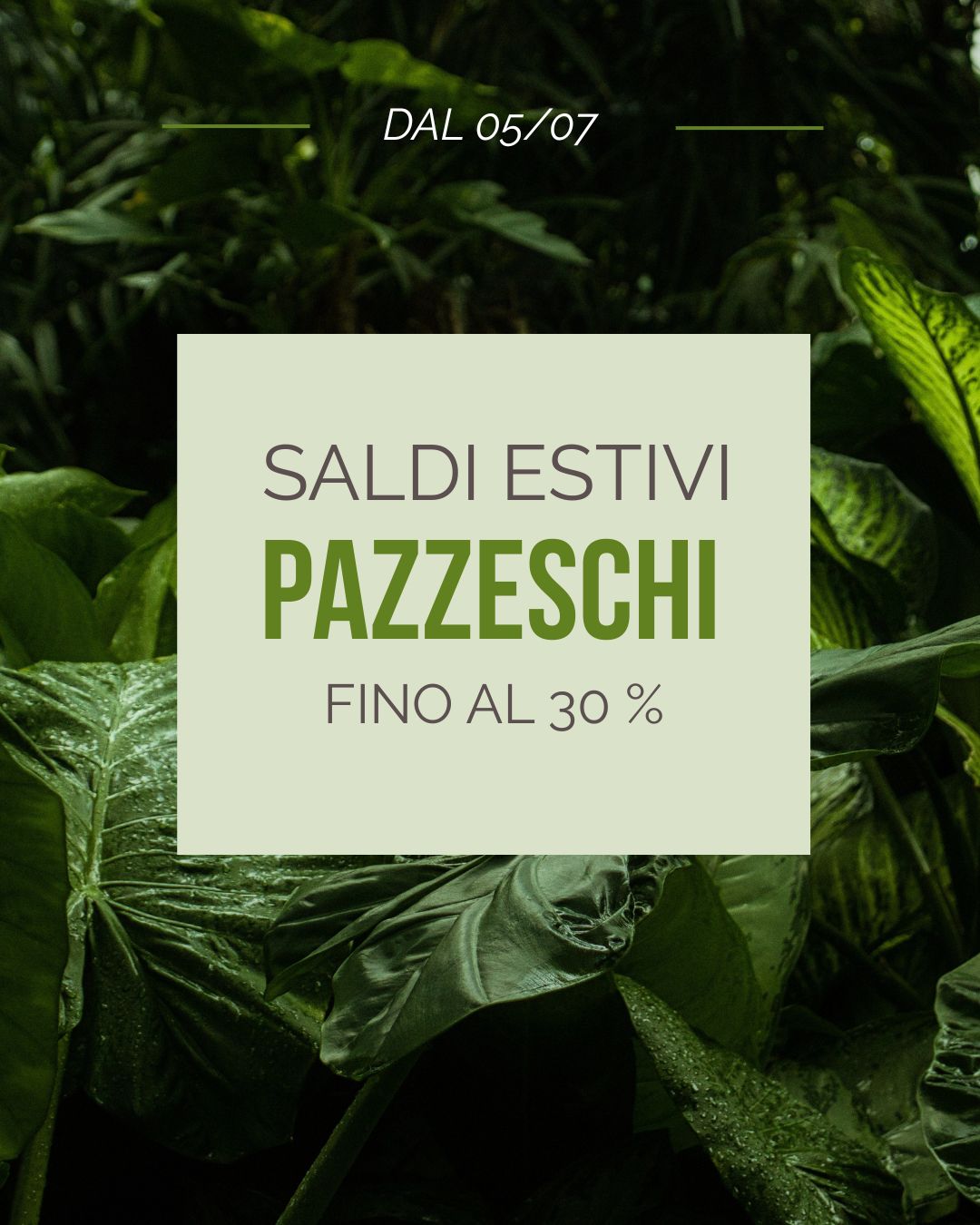 Verde Salvia Moderno Saldi Estivi Post di Instagram