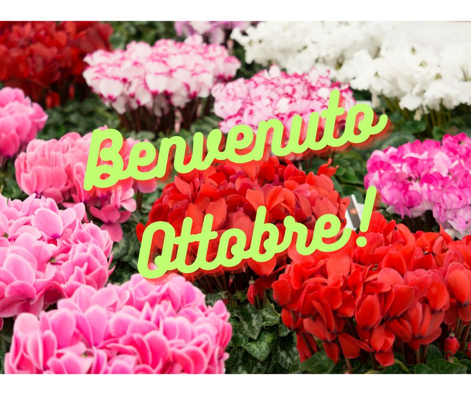 Benvenuto