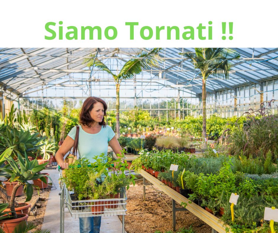 Siamo Tornati ! (1)