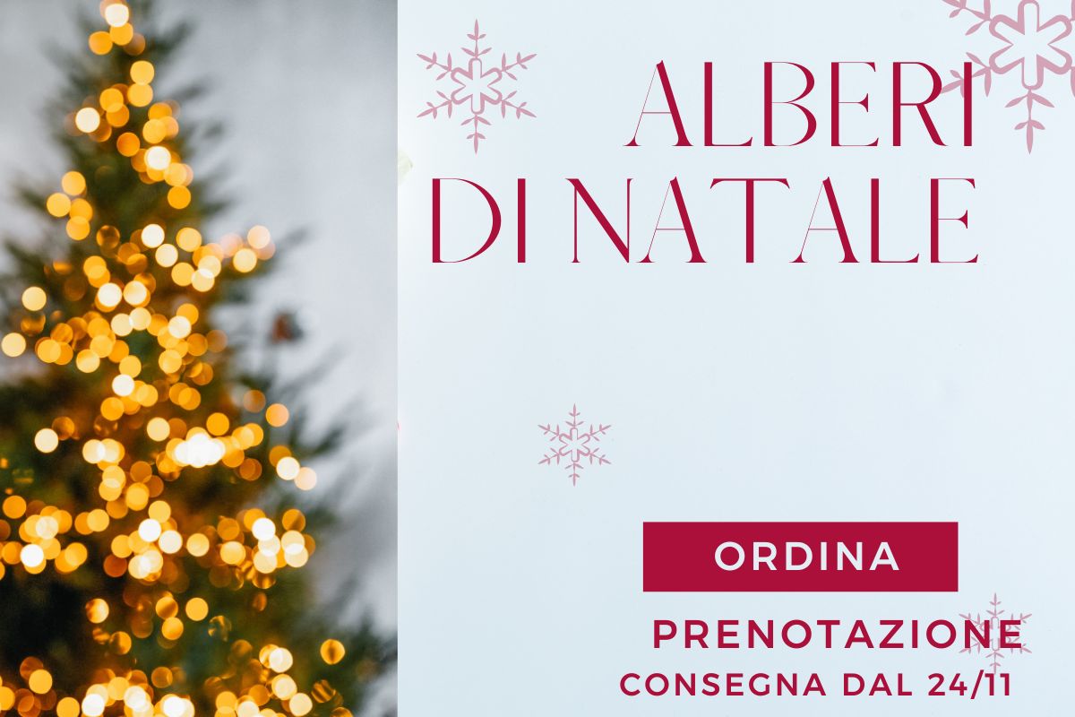 Copia di Christmas Sale (5)