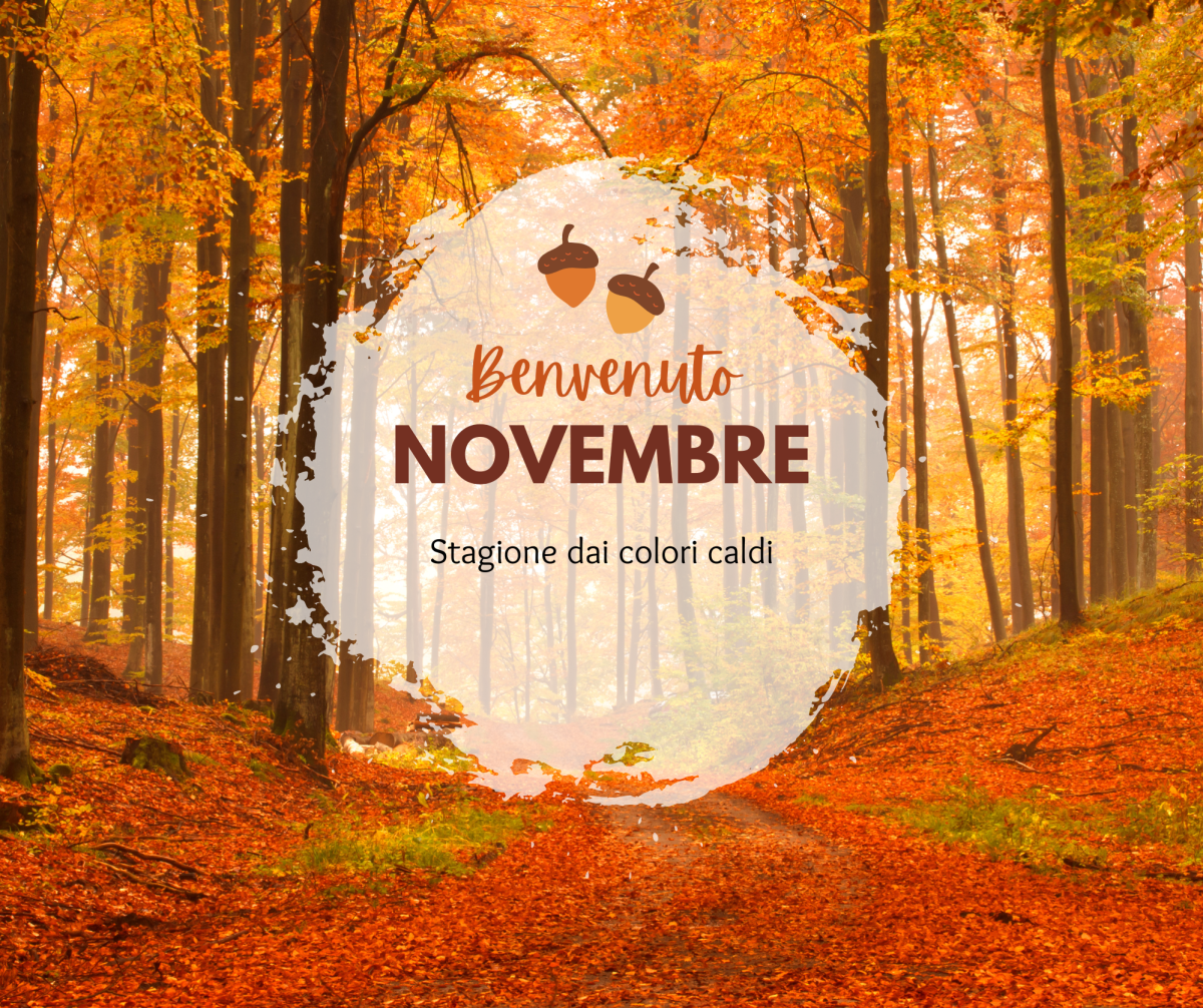 Red and Orange Natural Illustrated Floral Hello Autumn Season Greeting Facebook Post