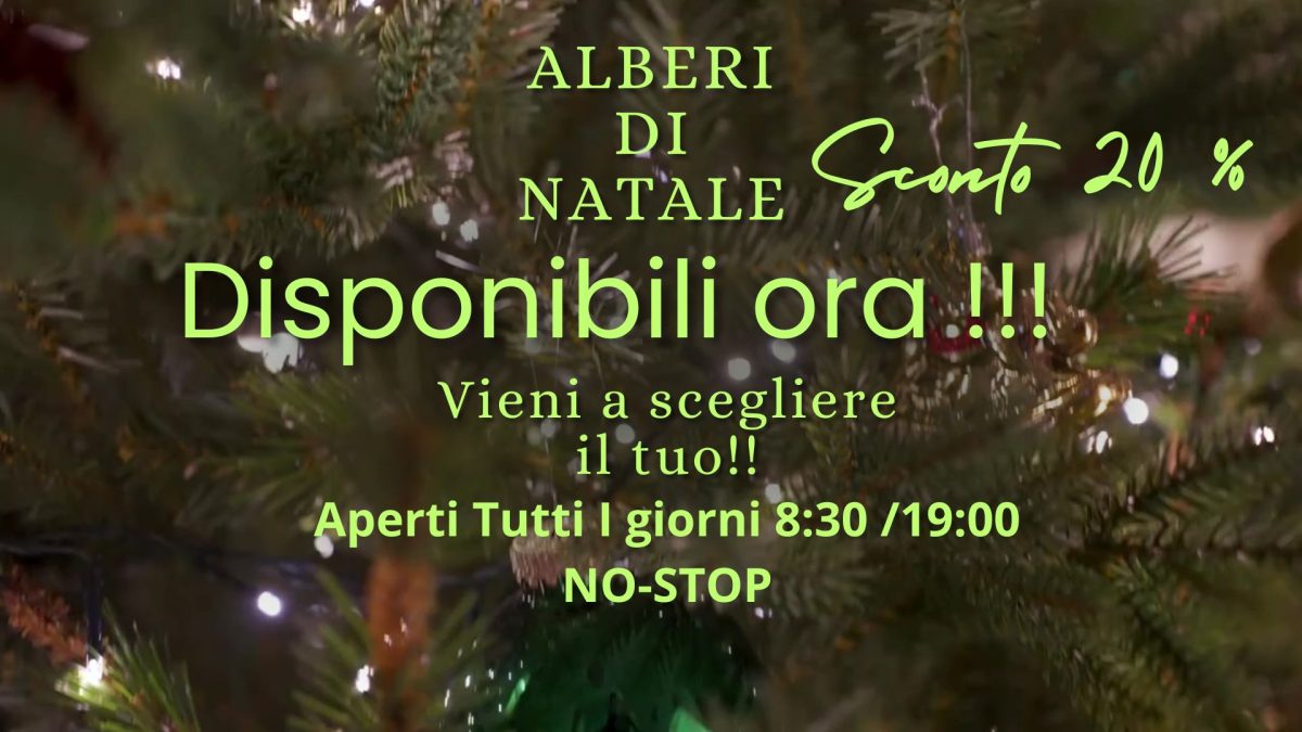 White and Green Elegant Merry Christmas Video (2)