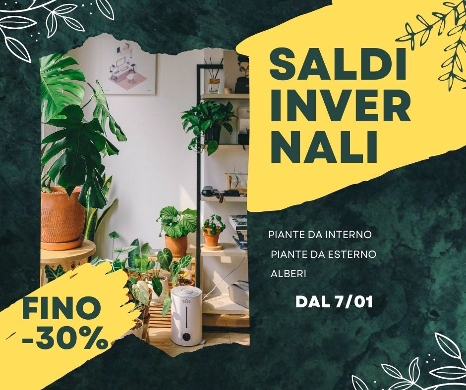 Green Plant Fest Promotion Facebook Post (1)