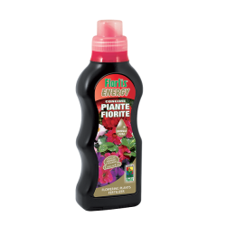 enrgy piante fiorite