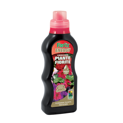 enrgy piante fiorite