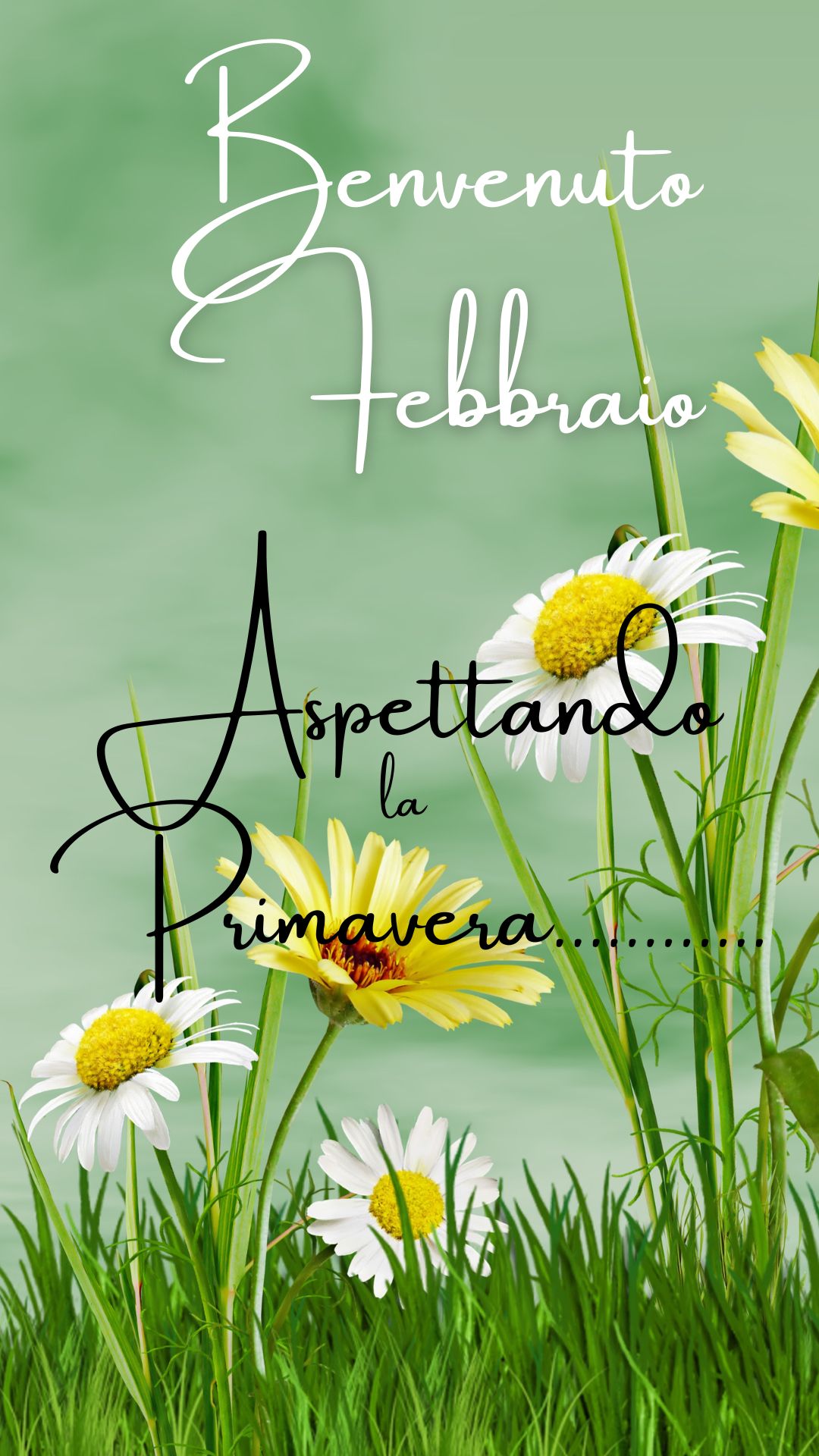 Green and White Floral Hello January Instagram Story