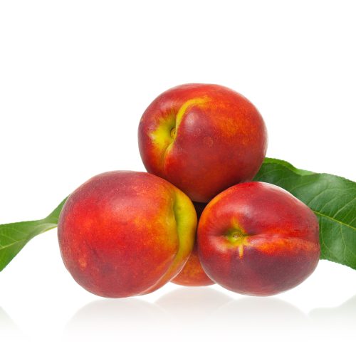 Pianta-di-pesco-Nettarina-nano-frutto