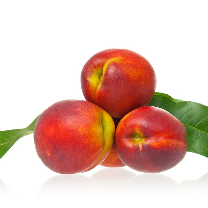 Pianta-di-pesco-Nettarina-nano-frutto