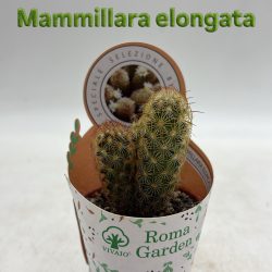 0A900A86-964B-42D7-8ACE-22B4082CEDC2