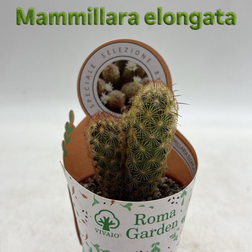 0A900A86-964B-42D7-8ACE-22B4082CEDC2