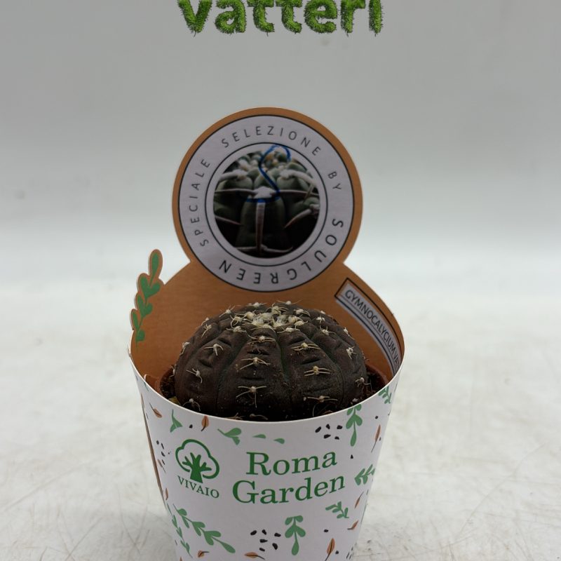 0ACC68AF-51F8-414F-B33C-86240441BDE4