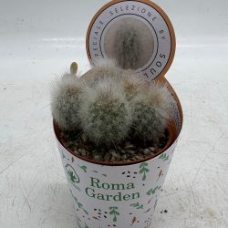 14186CBC-FE11-4E47-8283-2AB418B95E73