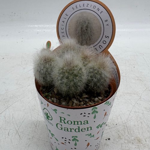 14186CBC-FE11-4E47-8283-2AB418B95E73