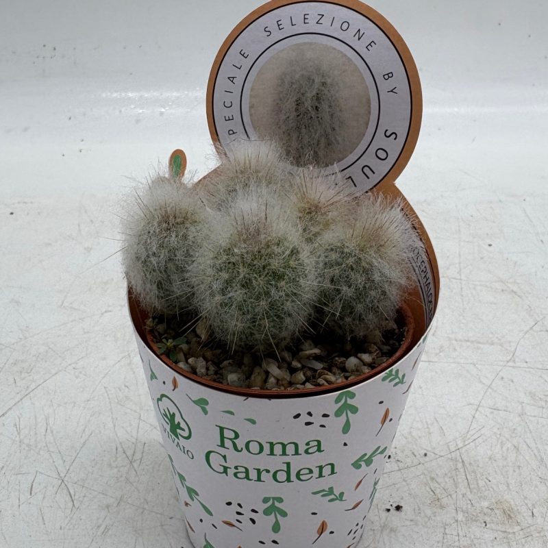 14186CBC-FE11-4E47-8283-2AB418B95E73