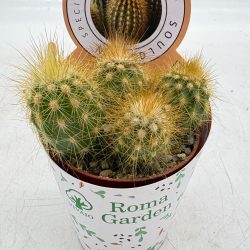 15101997-C83E-4873-A147-A8F4CDC6D499