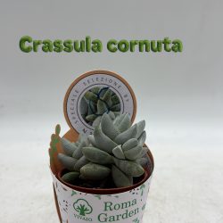 349918EE-1E11-4C8A-BCF0-73DD890F034D