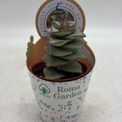 91E325EE-7139-4F58-A1F4-1EF4CF80227C