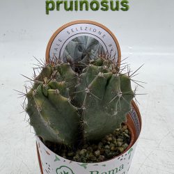 9CD50B84-1DF0-4416-A8FF-D048AA65627C