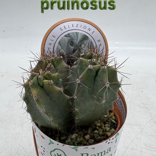 9CD50B84-1DF0-4416-A8FF-D048AA65627C