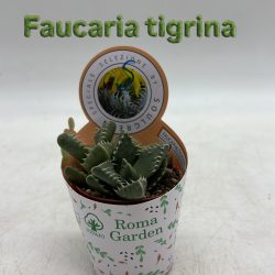 A397E5A1-04D5-47F2-9D30-CBFDDF38F052 (1)