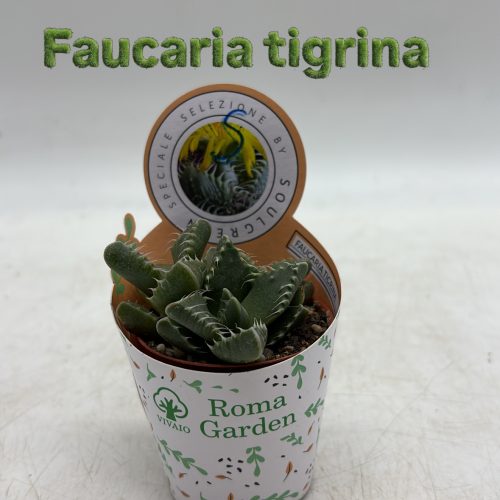 A397E5A1-04D5-47F2-9D30-CBFDDF38F052 (1)