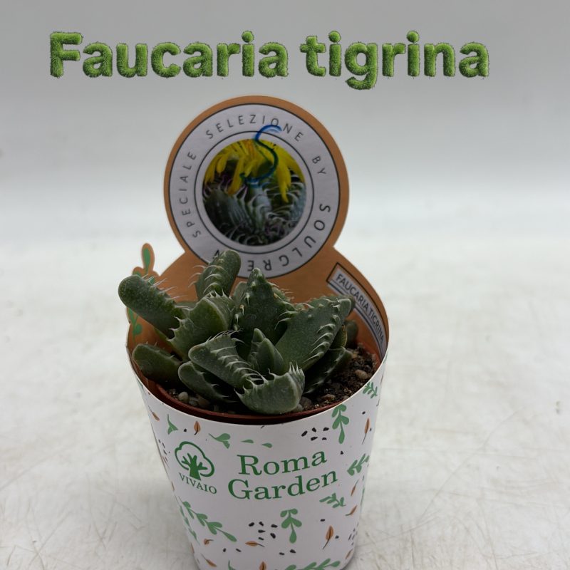 A397E5A1-04D5-47F2-9D30-CBFDDF38F052 (1)