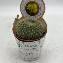 A8AC818F-59CE-4021-A050-1CFE2B04A141