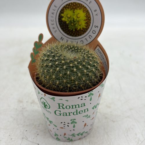 A8AC818F-59CE-4021-A050-1CFE2B04A141