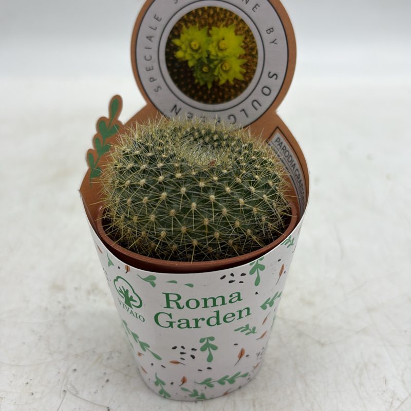 A8AC818F-59CE-4021-A050-1CFE2B04A141