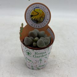 BA637500-B00A-421F-A9BB-CFBD033E3B73