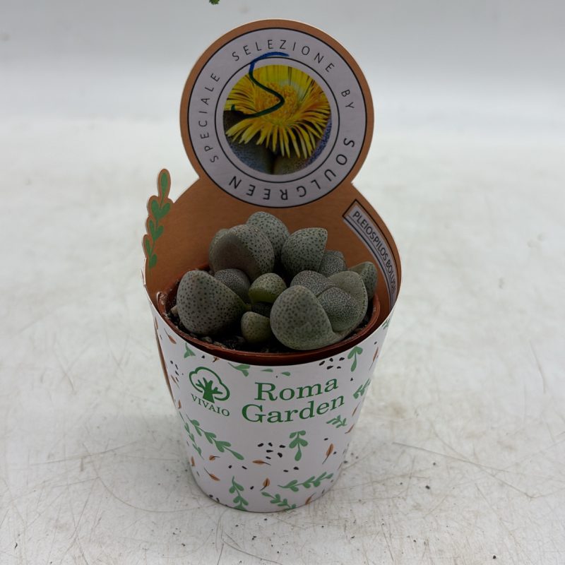 BA637500-B00A-421F-A9BB-CFBD033E3B73