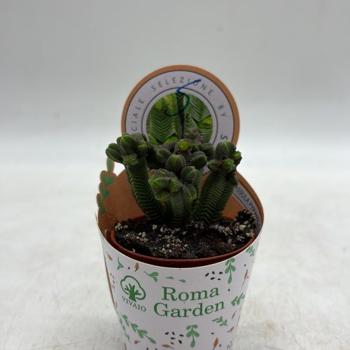 DD3E2F2A-51E8-4545-82F3-2408F7D95F29