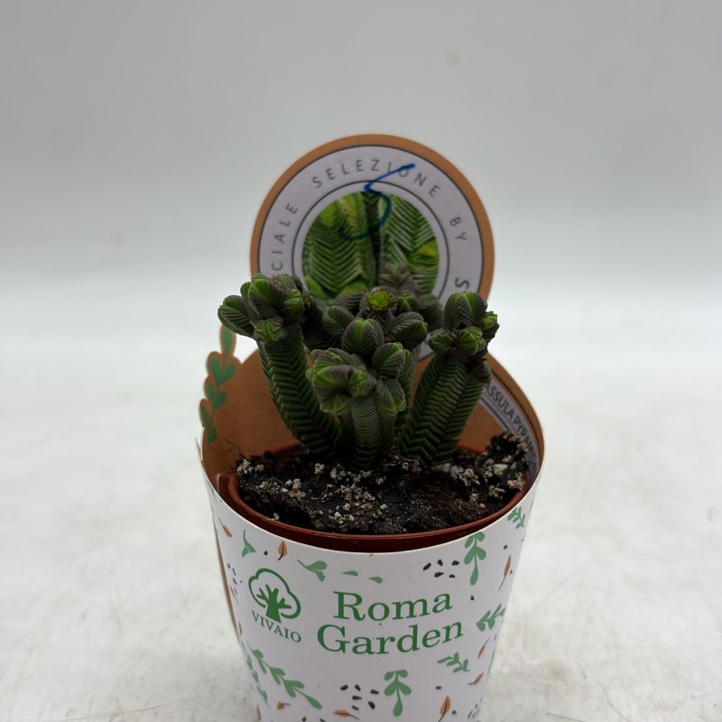 DD3E2F2A-51E8-4545-82F3-2408F7D95F29