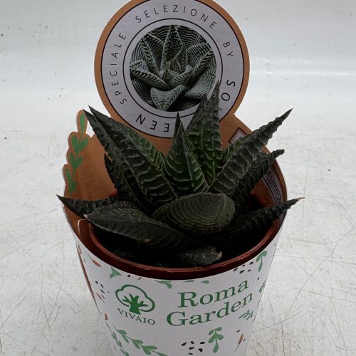 E7C86793-B822-4A6C-BD23-4700BCB29D03