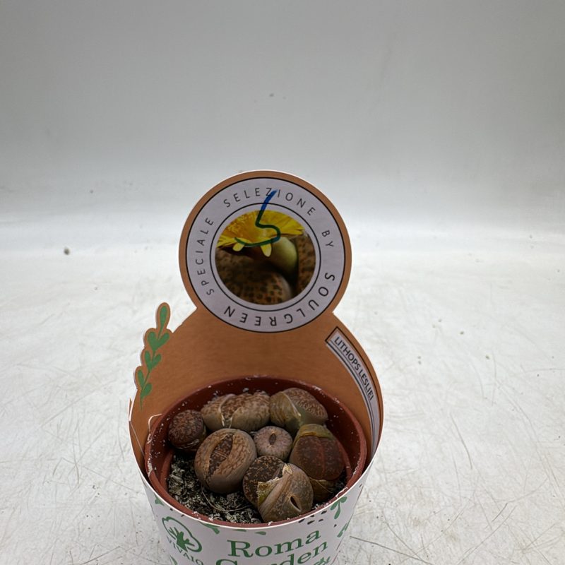 EEA549CF-61F3-41C6-81E3-7561FA1FF9B0