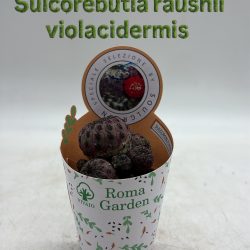 F016D6DB-6AFE-446B-90C2-E1792201DAF9