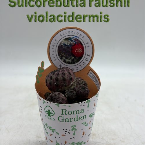 F016D6DB-6AFE-446B-90C2-E1792201DAF9