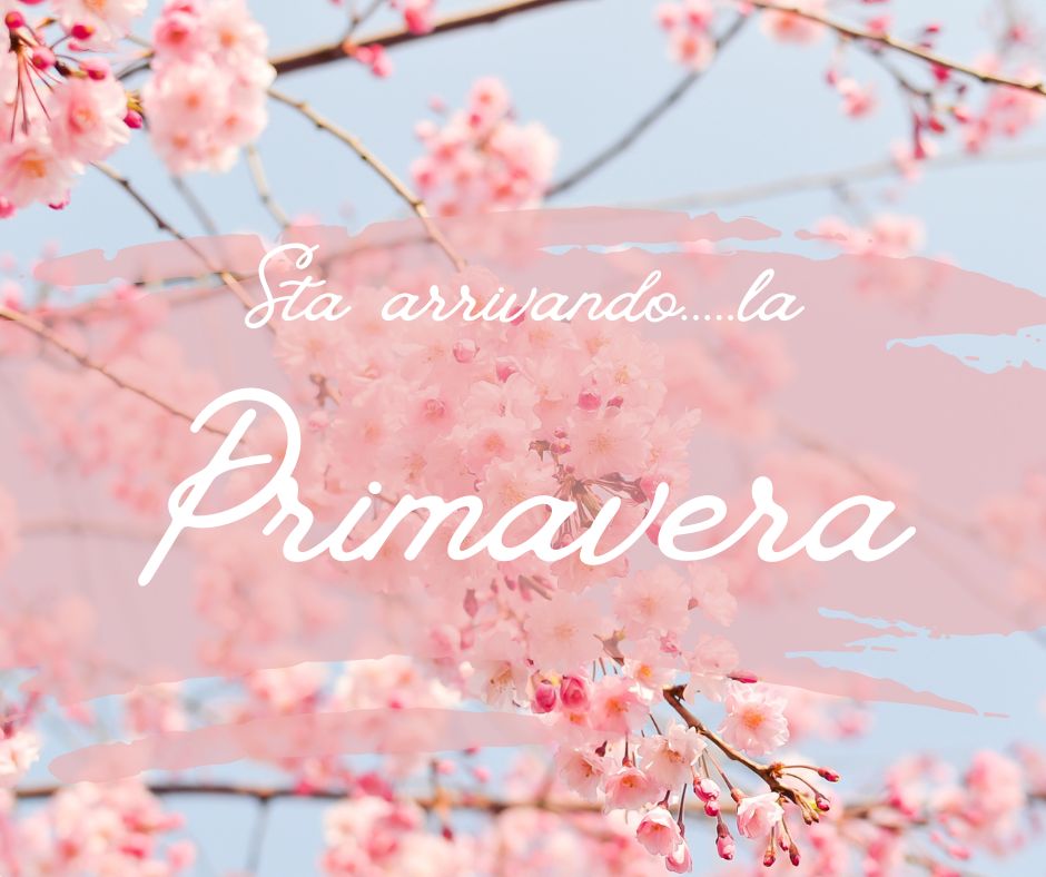 Post Facebook Benvenuta Primavera Augurio Foto Fiore Rosa