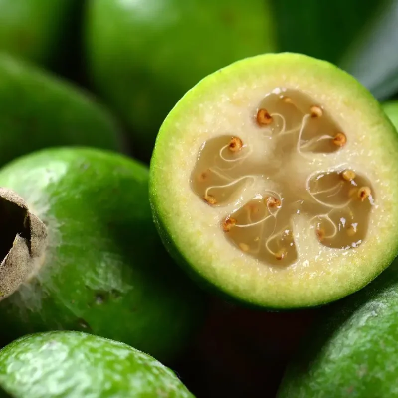 feijoa.jpg