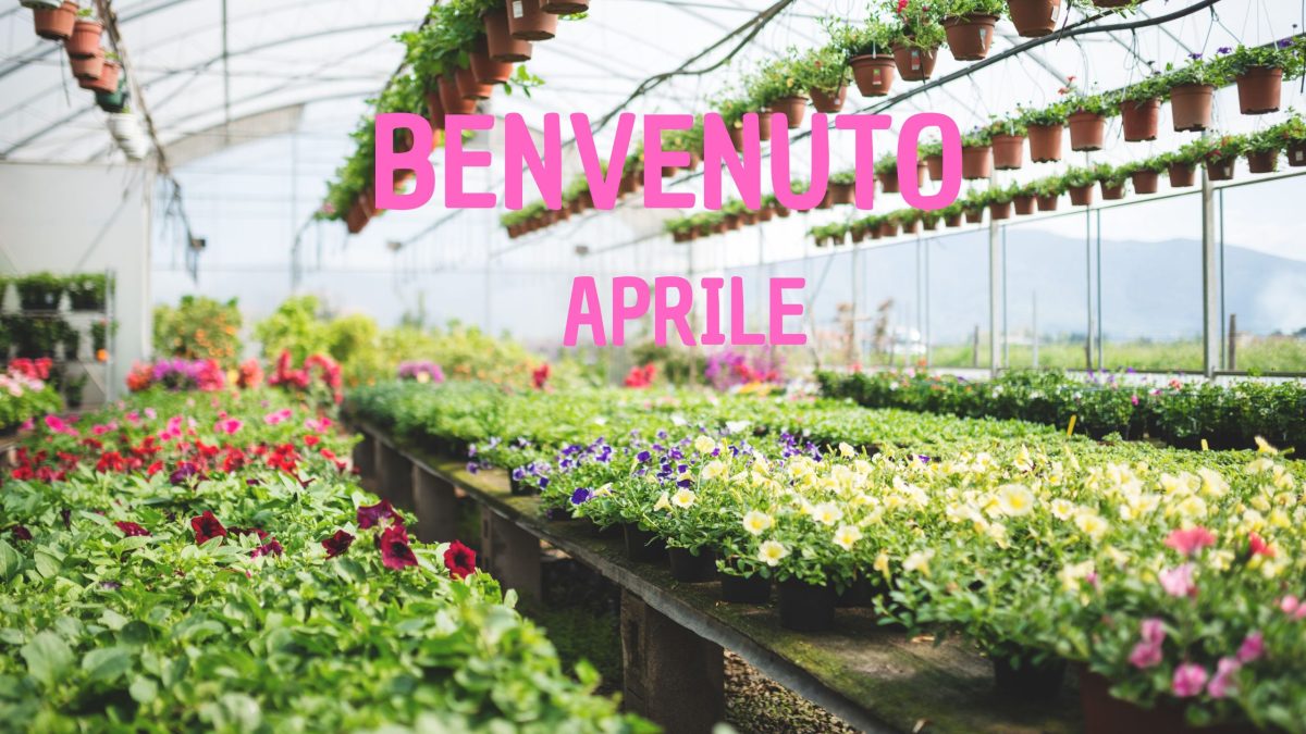 Aggiungi un sottotitolo (6)