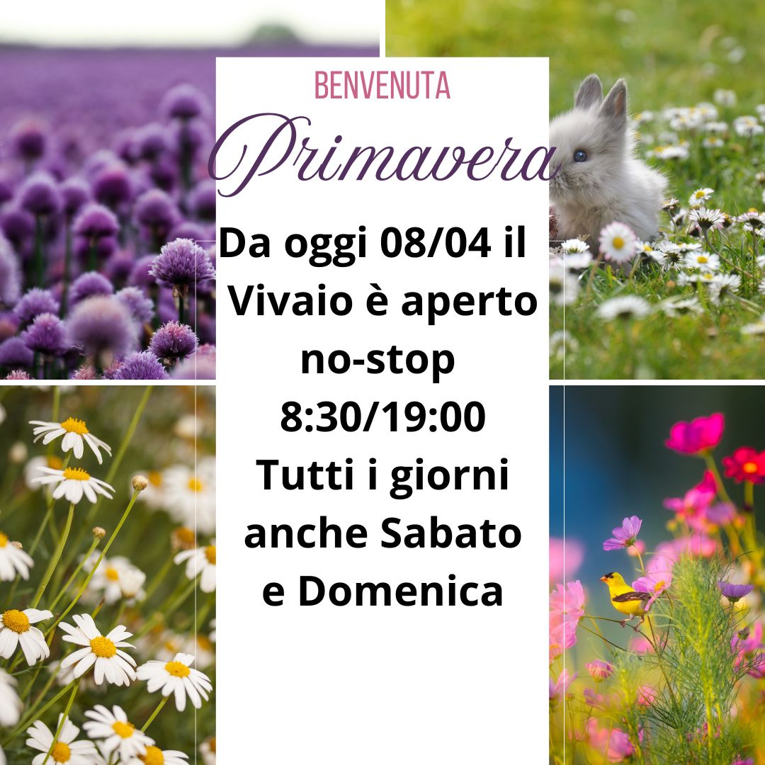 Post di Instagram Benvenuta primavera Collage fotografico Verde