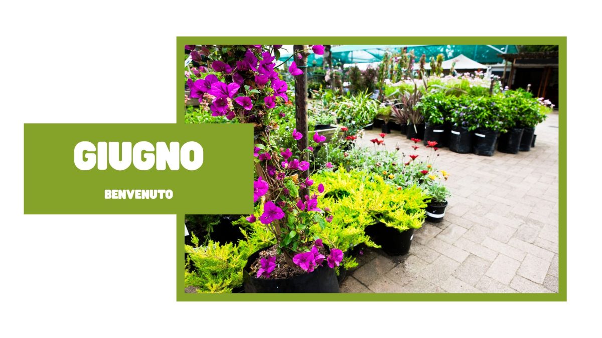 BENVENUTO GIUGNO (1)