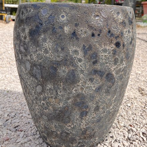 IMG_0755
