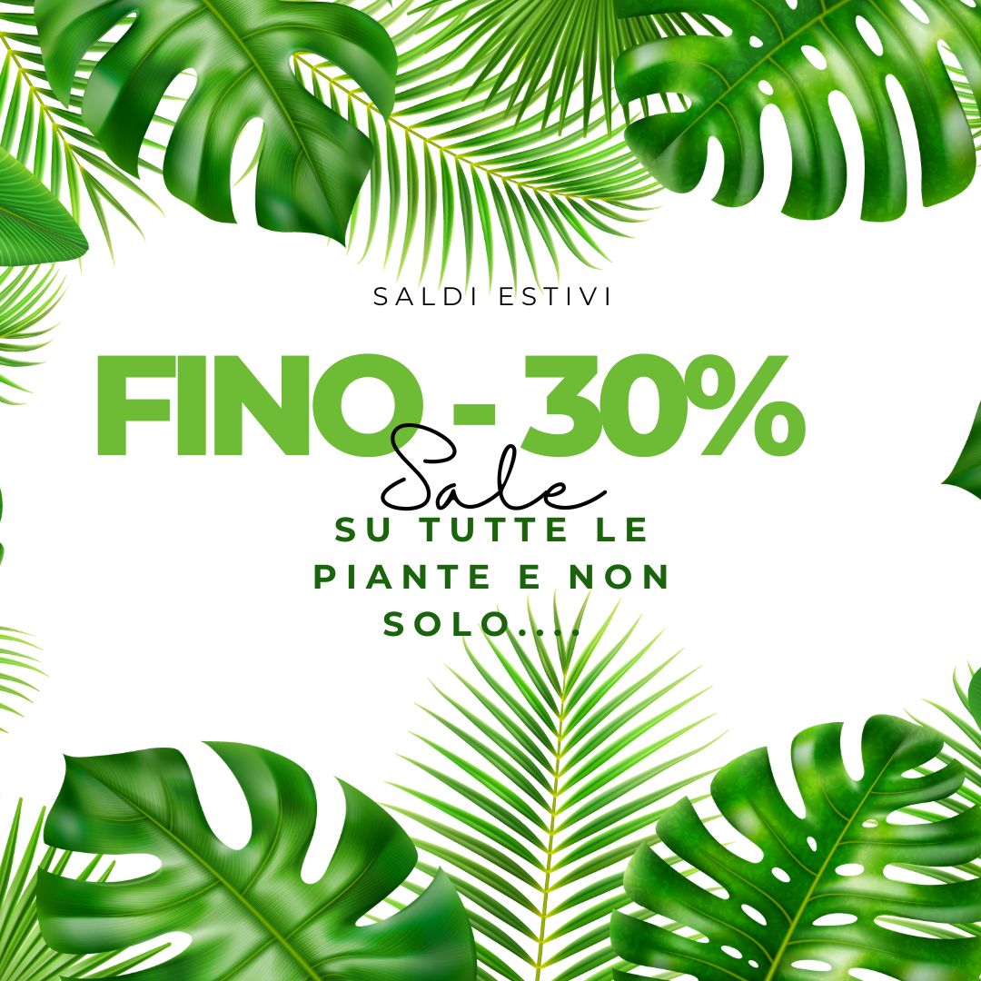 Green Summer Sale Instagram Post