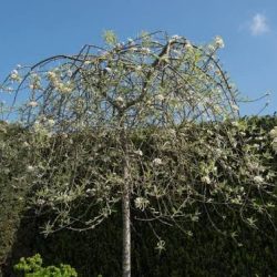 images (11)
