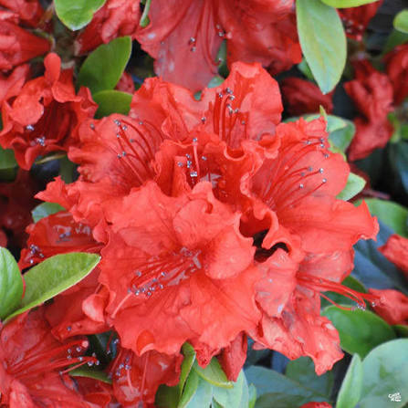 images (2)